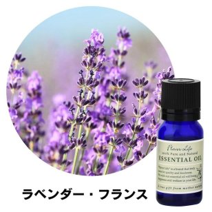 フレーバーライフ エッセンシャルオイル ラベンダー・フランス 10ml 精油 自然 アロマテラピー リラックス 癒し 健康 ナチュラル 美容 リフレッシュ ストレス軽減 バランス 香り ウェルネス エネルギー 高品質 心身の調和 癒やし効果 アロマオイル