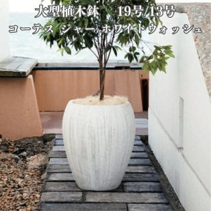 植木鉢 おしゃれ 大型 19号 13号 丸 ラウンド 縦長 ホワイトウォッシュ セメント KONTON コーテス ジャー ホワイトウォッシュ ファイバーセメント 軽量 底穴あり 屋外 M L ホワイトウォッシュ 観葉植物 シンボルツリー 北欧 モダン ナチュラル インテリア