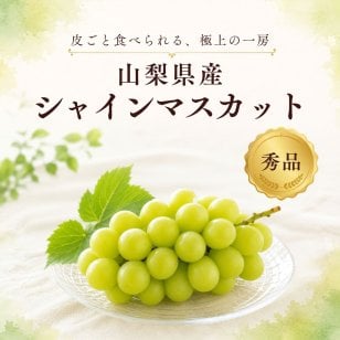 【産地直送】山梨県産 シャインマスカット 秀品｜誕生日・内祝い・秋のフルーツギフト