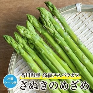 アスパラ ガス 秀品 さぬきのめざめ 約1kg ブランドアスパラ 香川 さぬき の めざめ アスパラガス 取り寄せ アスパラさぬきのめざめ グリーンアスパラガス グリーンアスパラ あすぱら あすぱらがす 香川県 産地直送 ブランド野菜 野菜 旬の野菜 香川県産 香川産 アスパラ通販【送料無料(一部地域除く)】
