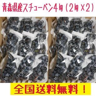 青森県産スチューベンぶどう 優品　4ｋｇ　全国送料無料