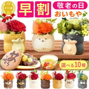 ＼早割！9/8の16時まで／ 敬老の日 誕生日 プレゼント 夏ギフト 残暑見舞い ギフト 退職祝い 卒業祝い 花とお菓子 花 プリザーブドフラワー 犬 フラワーアレンジメント かわいい おしゃれ ペット バラ 薔薇 一輪 アニマル 動物 ミニ 置き物 送料無料 スイーツ お菓子 和菓子 ギフトセット もらって嬉しい センスがいい おしゃれ  3000円 40代 50代 60代 70代