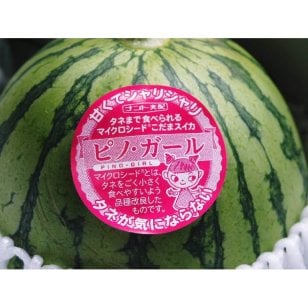 ピノガール 〈茨城.群馬〉 3～5玉　8kg すいか