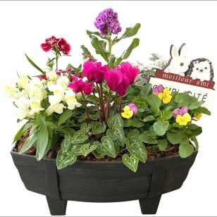 季節の寄せ植え 秋 タル型鉢 黒 ギフトにも最適な季節のお花を寄せ植えに【プレゼント ガーデンピック 玄関 ベランダ 送料無料 沖縄・離島を除く】