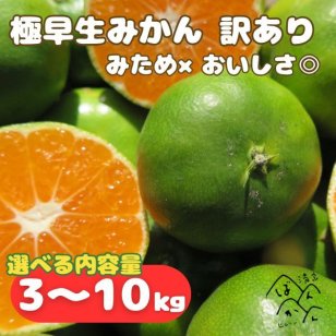 愛媛県産 極早生みかん 訳あり 3kg・5kg・10kg S〜L  みため×おいしさ◎ミカン フルーツ 柑橘 果物 【送料無料※北海道・沖縄除く】