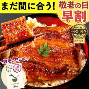 ＼早割！9/8の16時まで／ 敬老の日 お中元 うなぎ 国産 【浜松 浜名湖 うなぎのたなか】 誕生日 プレゼント ギフト 鰻 蒲焼き 誕生日プレゼント グルメギフト 送料無料 お祝い グルメ 人気 内祝い ご褒美 即日配送 カット蒲焼き 2枚～6枚 土用の丑 海鮮 食べ物 高級 化粧箱 風呂敷 土用の丑の日 もらって嬉しい 1～6人前 40代 50代 60代 70代 80代 @hayawari