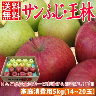【家庭消費用】サンふじ・王林 約5kg前後 14個～20個入 送料無料 りんご 5kg 訳あり 訳アリ 青森 産地直送 サンフジ 家庭用