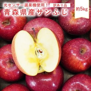 青森県産 訳あり サンふじ ご家庭用5kg 送料無料 人気の訳ありリンゴ 家庭用 青森 青森産 訳あり サンふじ りんご 林檎 ふじ ks