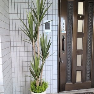 人工観葉植物　ユッカ1.8m　送料無料　　触媒加工品