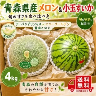 青森県産　青肉メロン　アーバンデリシャスorハニーゴールデン　1～2玉&　青森県産　小玉すいか1～2玉　4ｋｇ