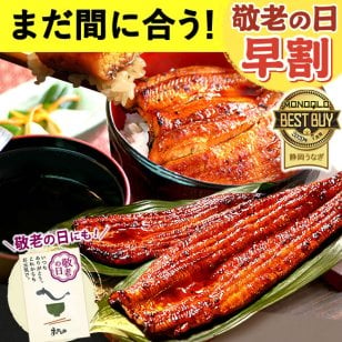 ＼早割！9/8の16時まで／ 敬老の日 早割 お中元 うなぎ 国産 【浜松 浜名湖 うなぎのたなか】  誕生日 プレゼント ギフト 鰻 うなぎのたなか 蒲焼き 誕生日プレゼント グルメギフト 送料無料  お祝い グルメ 人気 内祝い ご褒美 即日配送 特大長蒲焼 180～200g 2～6尾 土用の丑 海鮮 食べ物 おつまみ 高級 化粧箱 風呂敷 1～6人前 40代 50代 60代 70代 80代