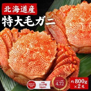 北海道産 毛蟹 毛ガニ 特大 毛がに 800g 2尾セット  札幌 場外市場 ボイル 海鮮グルメ お取り寄せ ギフト プレゼント 母の日 人気 【冷凍】 北海道