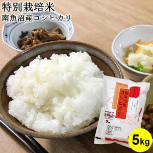 令和7年産 特別栽培米南魚沼産コシヒカリ 5kg お米 5キロ 送料無料(沖縄を除く) 最上級 ブランド米 特別栽培 減農薬 減化学肥料 新潟 ギフト 内祝い 出産内祝い 結婚内祝い お返し 快気祝い 出産祝い 結婚祝い 贈答品 贈り物 プレゼント お礼 お中元 お歳暮 特Ａ