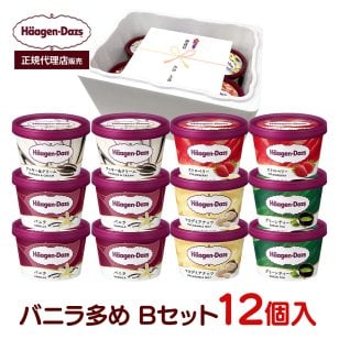 敬老の日 お中元 残暑見舞い アイス ギフト対応 【正規代理店】 ハーゲンダッツ ミニカップ12個入 Bセット 定番フレーバー5種