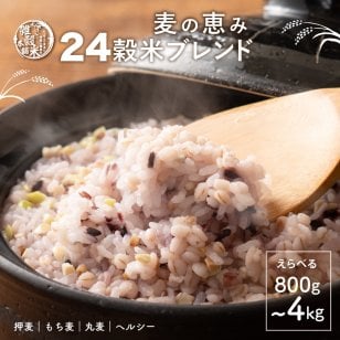 雑穀 雑穀米 国産 麦の恵み24穀米ブレンド【選べる800g~4kg】雑穀米本舗 [丸麦/押麦/はだか麦/もち麦/はとむぎ] 無添加 無着色 徳用サイズ 送料無料