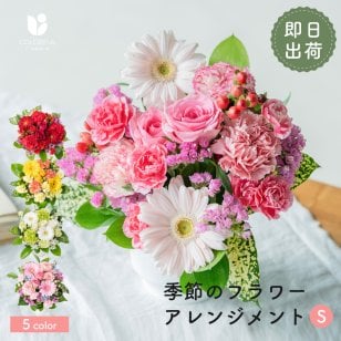 カラフルガーデン アレンジメントS  生花 花市場から直送 お祝い 誕生日 記念日