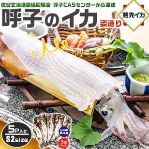 旅サラダ TVで紹介／ 呼子のイカ｜呼子 剣先いか姿造り（S2サイズ）× 合計5P | 約150～199g（1個あたり） CAS凍結 高級 剣先いか イカそーめん お刺身 天ぷらでも 姿造り 呼子漁港直送