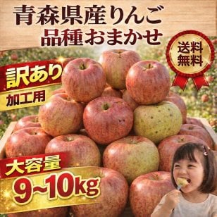 青森県産　りんご　品種おまかせ　加工用　生食可　９～１０ｋｇ　送料無料！