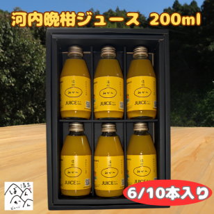 河内晩柑ジュース 200ml ギフト箱 愛媛県産【贅沢な果汁100％】送料無料
