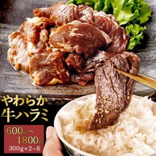 牛ハラミ(サガリ)秘伝の醤油たれ漬け300g×2～6袋
