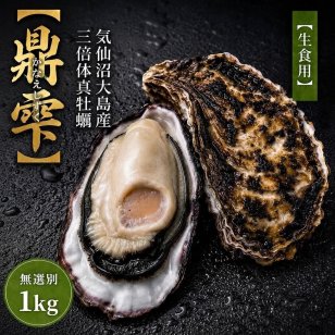 【生食用】 牡蠣 殻付き 1kg（9〜11個） 気仙沼大島産 三倍体 真牡蠣 鼎雫 かなえしずく ブランド牡蠣 送料無料 生カキ ギフト 贈答