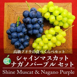 長野県産 シャインマスカット ナガノパープル 各1房 【2房】 ｜ 1房約450-500g ｜ ぶどう 国産フルーツ 贈答用 ギフト プレゼント