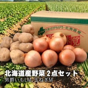 【出荷時期10/1頃～2月末まで(受付2/18終了)】北海道野菜2点セット(5kg,10kg)（送料無料 プレゼント グルメ 贈り物  御祝 内祝い 景品 賞品 ご褒美 誕生日 出産祝い 結婚 上司 男 女 友達 新築 引越 送別会 定年 退職祝い 還暦  産地直送 じゃがいも ジャガイモ 男爵イモ たまねぎ タマネギ ギフト お歳暮 寒中見舞い）