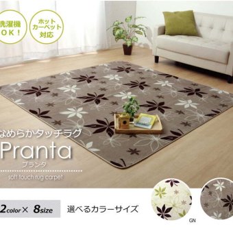 ラグ カーペット 3畳 洗える 抗菌 防臭 無地 『WSプランタ』 約200×250cm （ホット 対応）