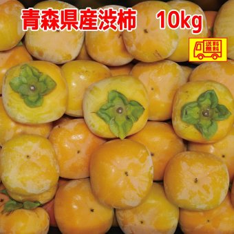 青森県産　平たね無し柿　渋柿　60-100個前後　１０ｋｇ　干し柿等に　 送料無料！