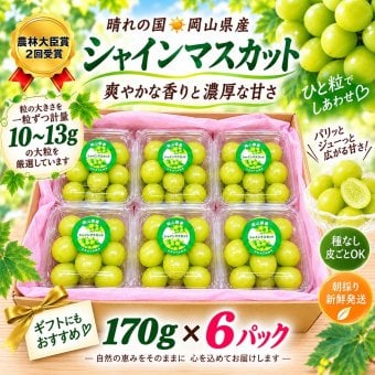 【予約】岡山県 ぶどう 2026年 シャインマスカット 小分け 秀品 粒だけ 約170g 6パック 7月から発送 プレゼント フルーツ