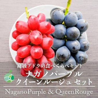 長野県産 ナガノパープル クイーンルージュ 各1房 【2房】 ｜ 1房約450-500g ｜ ぶどう 国産フルーツ 贈答用 ギフト プレゼント