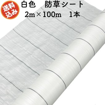 防草シート 白色（サンホワイト） 2m×100m 1本 抗菌剤入り UV剤入り  反射シート 草抑え 除草シート 雑草防止シート 雑草対策 農業資材 太陽光 環境制御 防ぐ 作物 野菜 果物 畑 農業 農園 農家 園芸 マルチング 温度抑制