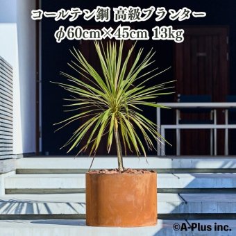 コールテン鋼 高級植木鉢 おしゃれ 大型 直径60cm 丸型 アンティーク 経年美 Patina レイズド・ラウンドプランター600 底なし A-PLUS 屋外 観葉植物 多肉植物 寄せ植え 花 鉢カバー 北欧 モダン ガーデニング 玄関 庭 パティナ