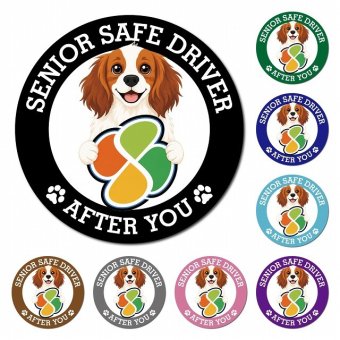 カーサイン 高齢者マーク SENIOR SAFE DRIVER コーイケルホーンディエ マグネット 強力 直径13cm 肉球 日本製 車 ステッカー
