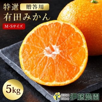 みかん 5kg 贈答用 秀品 特選 送料無料 和歌山 S M 小粒 中粒 手詰め 有田みかん 温州みかん 約40個～60個入ります ご当地 お出産内祝い 贈答 ギフト 誕生日 結婚祝い 出産祝い 内祝い ギフト