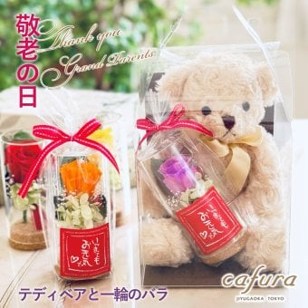 プリザーブドフラワー 10代 20代 30代 40代 50代 60代 プレゼント カーネーション ぬいぐるみ テディベア 孫 誕生日 女友達 誕生日 30 40 50 代 プリザーブドフラワー ボトル フラワー 送料無料 一輪のバラ バラ 花 ぬいぐるみ かわいい くま 動物 花束 ブーケ プレゼント 誕生日 プレゼント 退職祝い 結婚祝い 結婚記念日 開店祝い 記念日 贈り物 ギフト