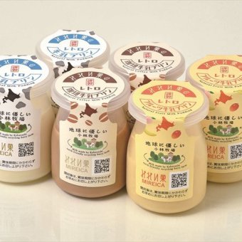 送料無料 北海道産地直送 みれい菓 レトロプリンセット  ※ご注文後約7～10日前後での発送となります。沖縄・離島へは別途配送料が発生いたします お取り寄せグルメ スイーツ