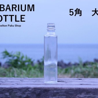 キャップ付 ハーバリウム ボトル 瓶「5角　10本セット　シルバー」ガラス瓶  透明瓶 花材 ウエディング プリザーブドフラワー インスタ SNS ボトルフラワー オイル ハーバリウム用 透明ボトル ハーバリウムボトル おしゃれ かわいい インテリア クリア