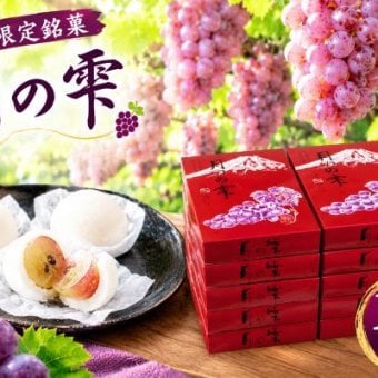 生ぶどう菓子【月の雫】大輝物産謹製（18粒入×10箱）
