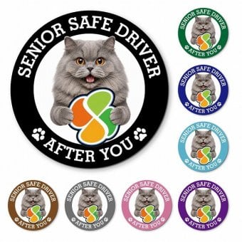 カーサイン 高齢者マーク SENIOR SAFE DRIVER ブリティッシュロングヘア マグネット 強力 直径13cm 肉球 日本製 車 ステッカー