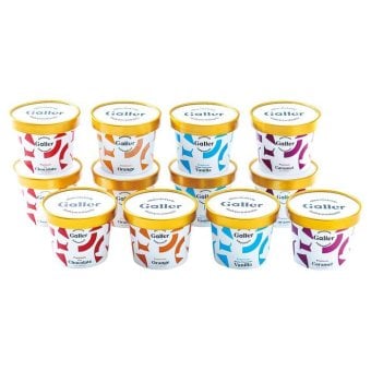 送料無料 お歳暮 ガレープレミアムアイスクリーム 12個セット  ※11/2以降の出荷予定となります。北海道・沖縄・離島は配達不可 全国送料無料 御歳暮 早割 お歳暮2026 御挨拶 お取り寄せ グルメ スイーツ