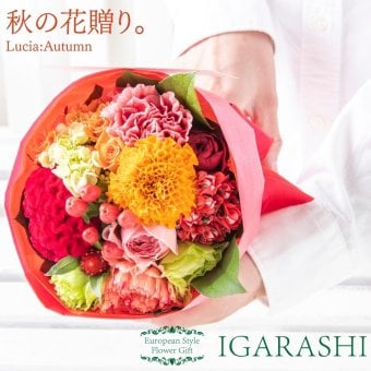【Lucia フラワーアレンジメント 花束 季節商品 】 花 ギフト 誕生日 秋 送別 退職 プレゼント アレンジ お祝い 開店祝い 退職 送別 入学 一部 送料無料