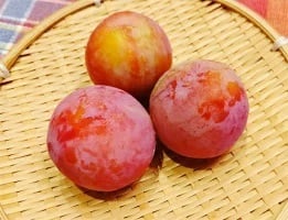 【サマービュート】２kg箱（実重量約1.6kg・約7-12個）７月下旬〜８月中旬発送　南アルプス市産朝もぎたて直送【生産元直送品】