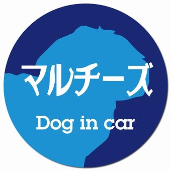 Dog in car マルチーズ レトロ書体 ブルー カーサイン 車 マグネットステッカー 犬 マグネット 強力 直径13cm 丸型 おしゃれ かわいい ドラレコステッカー 安全対策 危険運転 煽り運転 アニマル 動物 犬種別 屋外 防水 屋内
