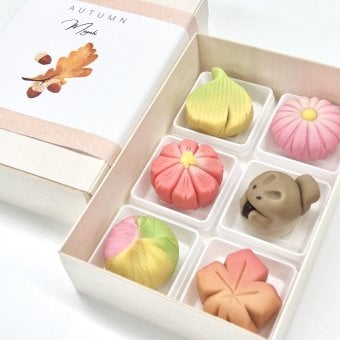 【京銘菓 雅】生菓子6個入 /練り切り/茶菓子/プレゼント/誕生日/御祝/和菓子/可愛い和菓子/アニマル和菓子／夏の和菓子/冠婚葬祭/お中元/暑中見舞い