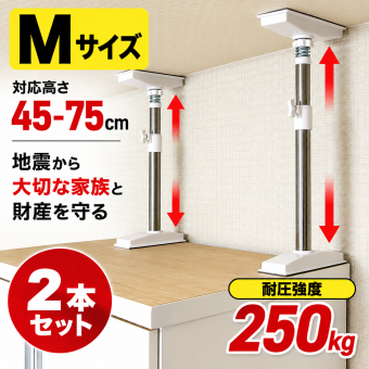 家具転倒防止 突っ張り棒 2本組 Mサイズ 45～75cm オムニ 耐圧強度250kg ステンレス 家具固定 転倒防止器具 耐震 突っ張りポール 伸縮式 工具不要 穴あけ不要 本棚 収納家具 地震対策 防災グッズ 新生活 一人暮らし ご両親 家族 プレゼント ギフト