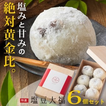 大福 ギフト 個包装 超人気【京都出町柳 塩豆大福】【6個セット】和菓子 おいしい 豆大福 豆餅 饅頭【京都出町柳 千賀】お祝い お誕生日【出来立て瞬間冷凍】【送料無料※一部地域を除く】