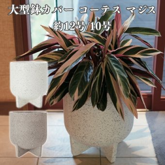 鉢カバー おしゃれ 大型 13号 10号 円柱 脚付き 縦長 テラゾ セメント KONTON コーテス マジス ファイバーセメント 軽量 底穴なし 屋外 S M ホワイトテラゾ グレーテラゾ 観葉植物 シンボルツリー 北欧 モダン ナチュラル インテリア