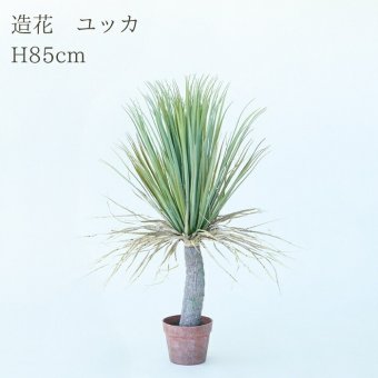 観葉植物 造花 ユッカ BROWN 全高約85cm 中型 フェイクグリーン 本物そっくり おしゃれ インテリア 人工観葉植物 アーティフィシャルグリーン オフィス 店舗 ホテル 開店祝い 室内 青年の木 エレファンティペス フェイク
