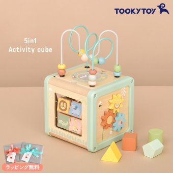 Tooky Toy トゥーキートイ 5in1 アクティビティキューブ TJ006